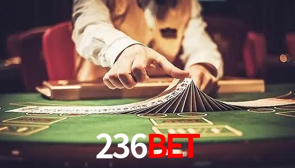 Live Casino 236BET