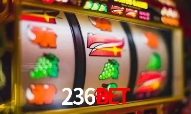 A Experiência Imersiva dos Cassinos Ao Vivo no 236bet