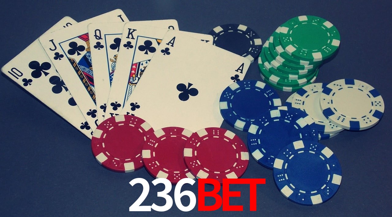 Game Providers 236bet