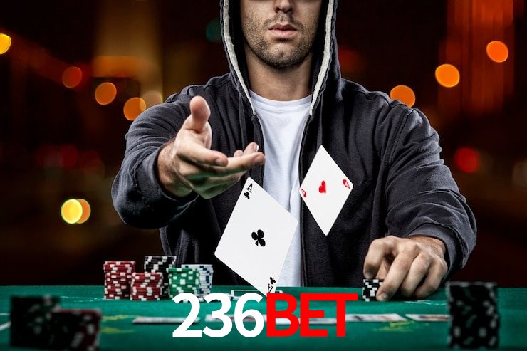 Funcionalidades App 236bet